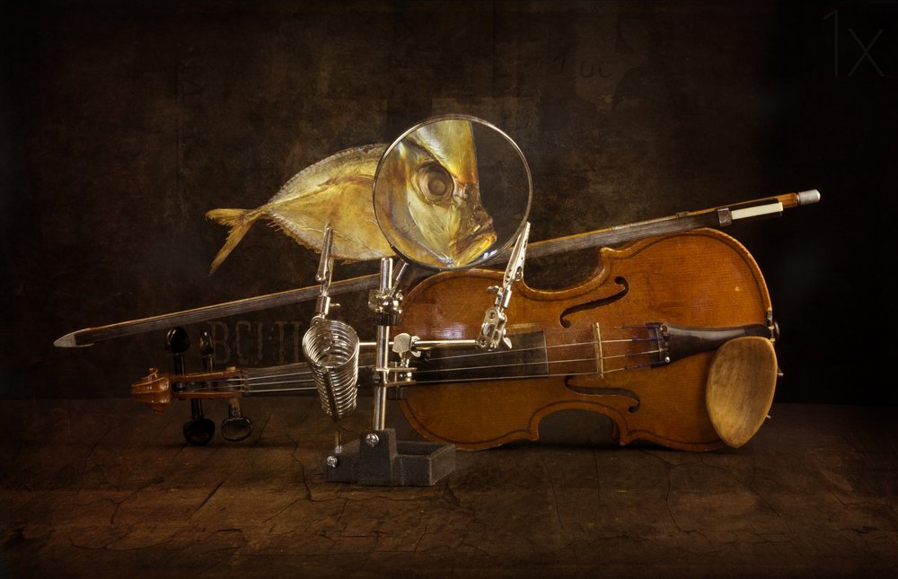 Poisson agrandi et violon - Brig Barkow