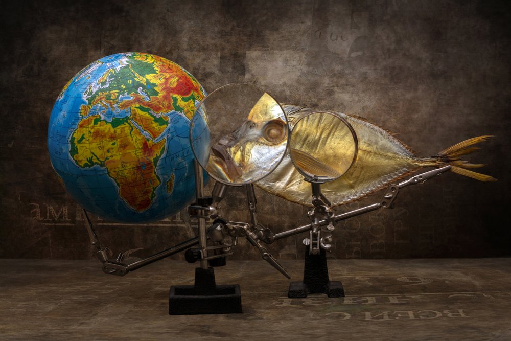 Poisson et globe grossis - Brig Barkow