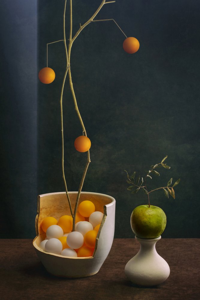 Composition moderne de fruits - Brig Barkow