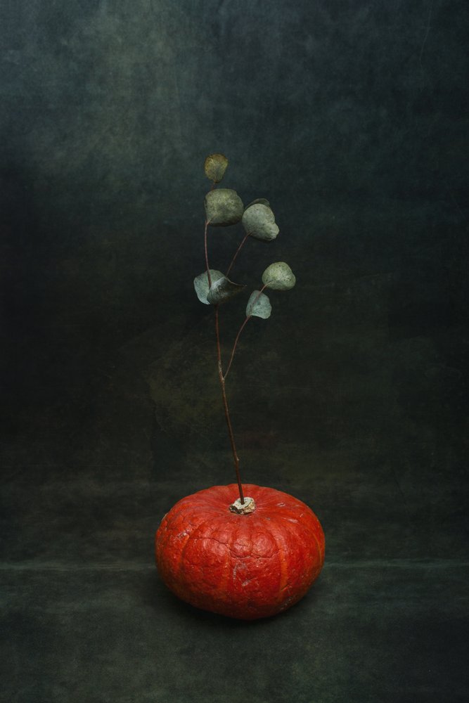 Citrouille « Moody » et eucalyptus - Brig Barkow