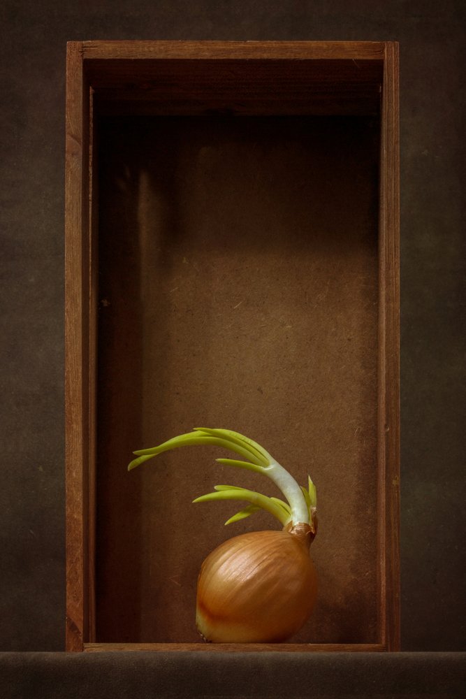 Nature morte à l