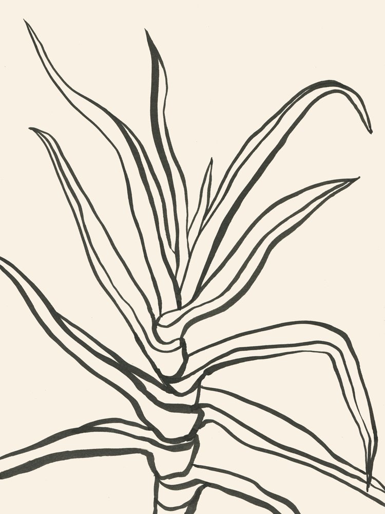 Esquisse minimaliste d