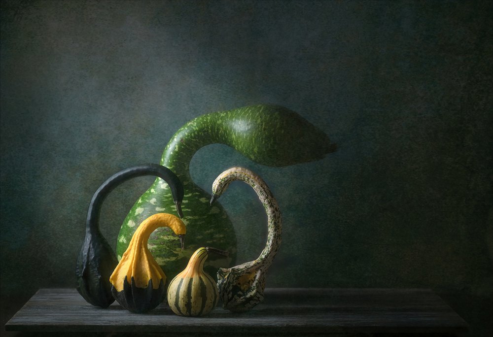Nature morte aux courges d