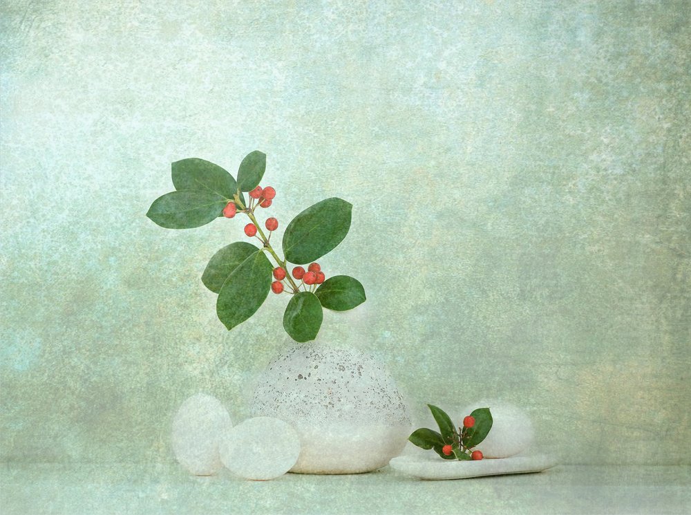 Pierre naturelle aux baies Zen - Catherine Wang