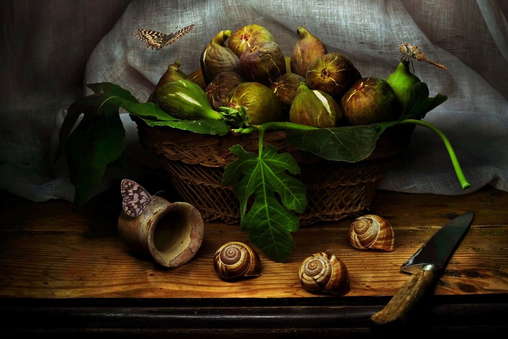 Nature morte rustique aux figues - Christian MARCEL