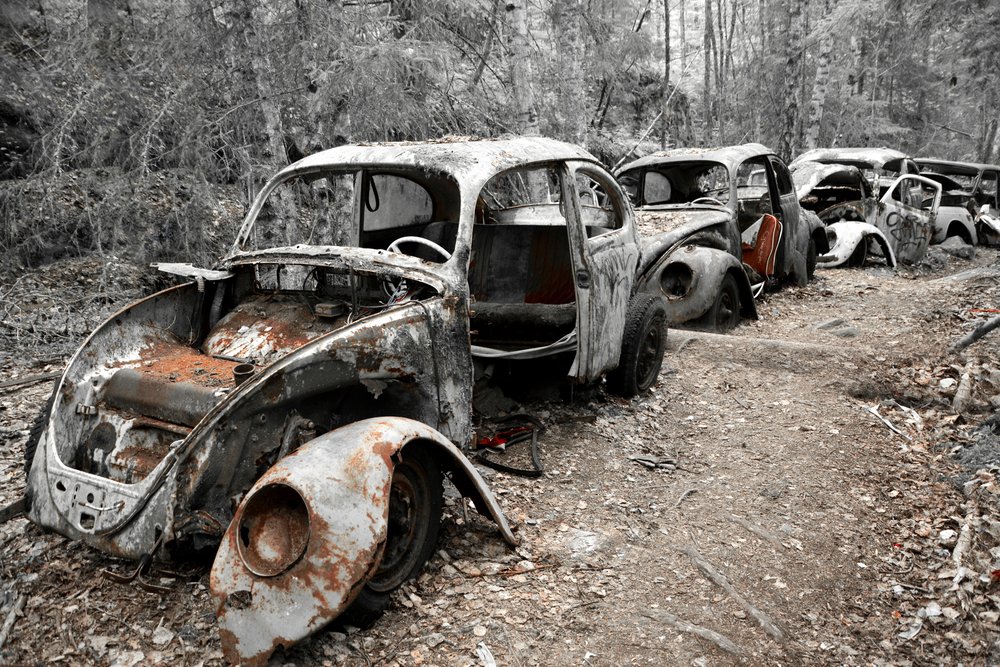 Des scarabées rouillés abandonnés - Christina Sillen
