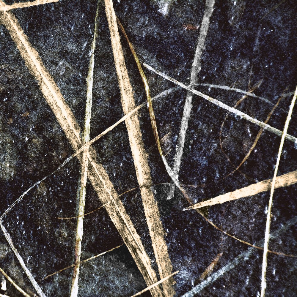 Résumé : Herbe gelée - Christina Sillen