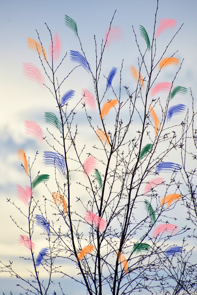 Branches printanières colorées - Christina Sillen
