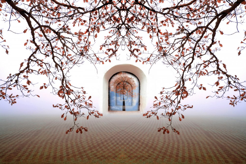 Une arche d