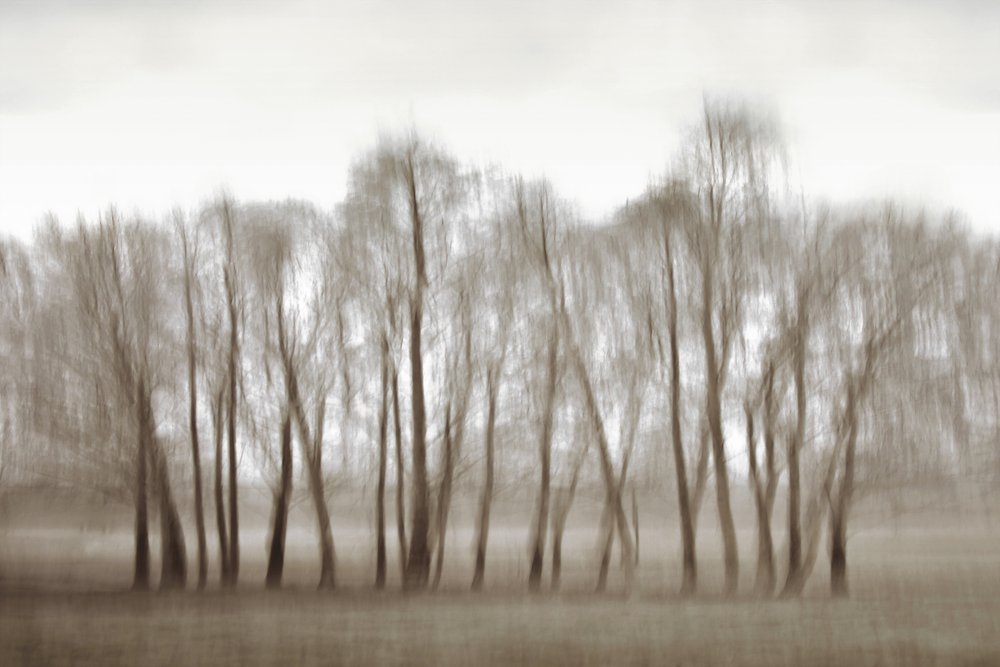  - Christina Sillen