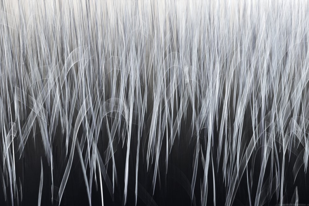 Lignes verticales éthérées - Christina Sillen