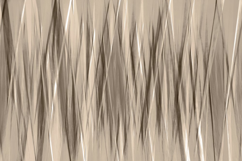 Lignes fluides et neutres - Christina Sillen