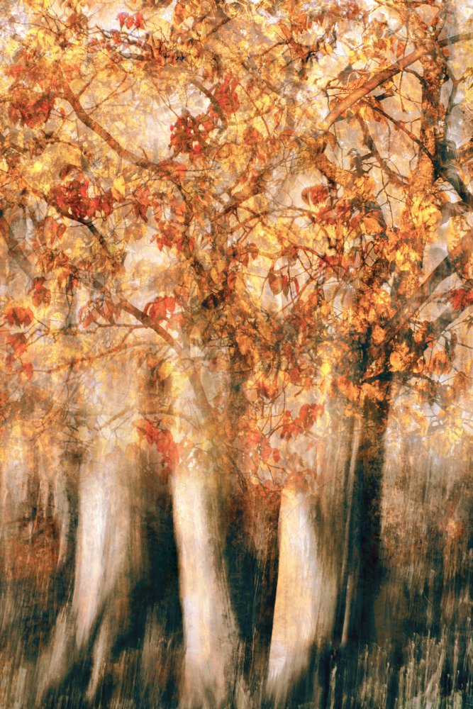  - Christina Sillen