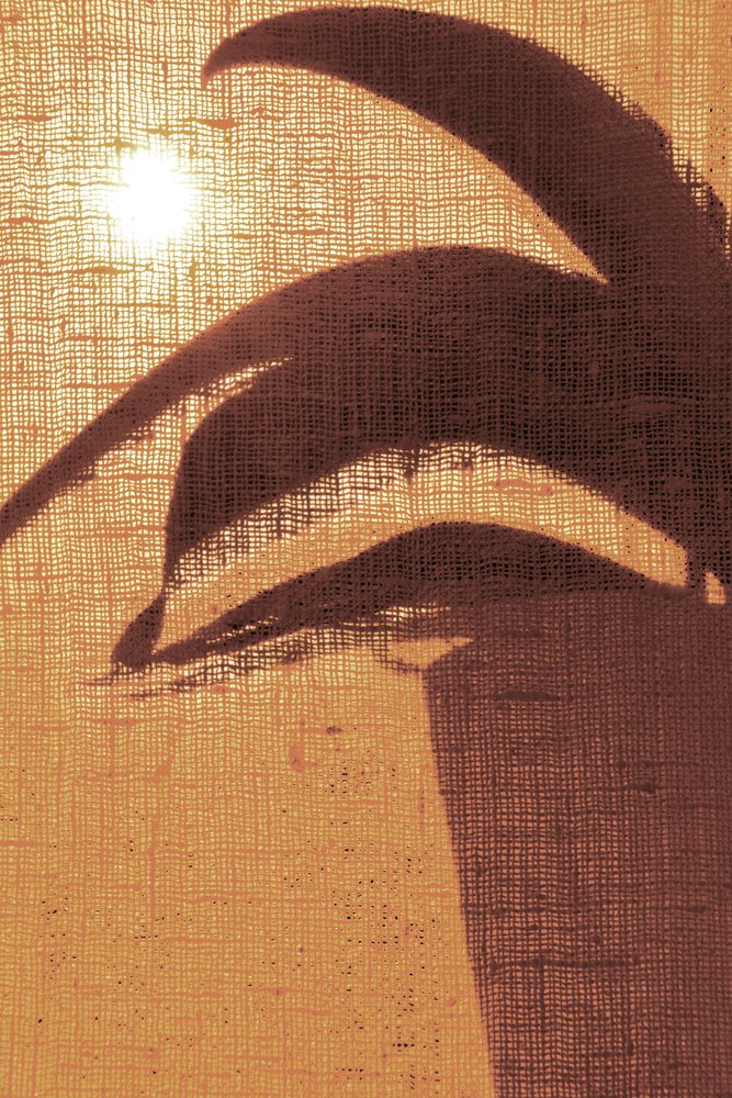 Silhouette au petit matin - Christina Sillen