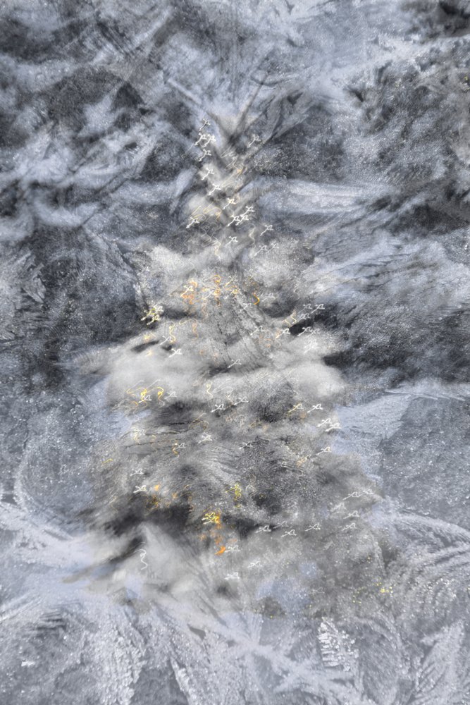 Motifs de givre complexes - Christina Sillen