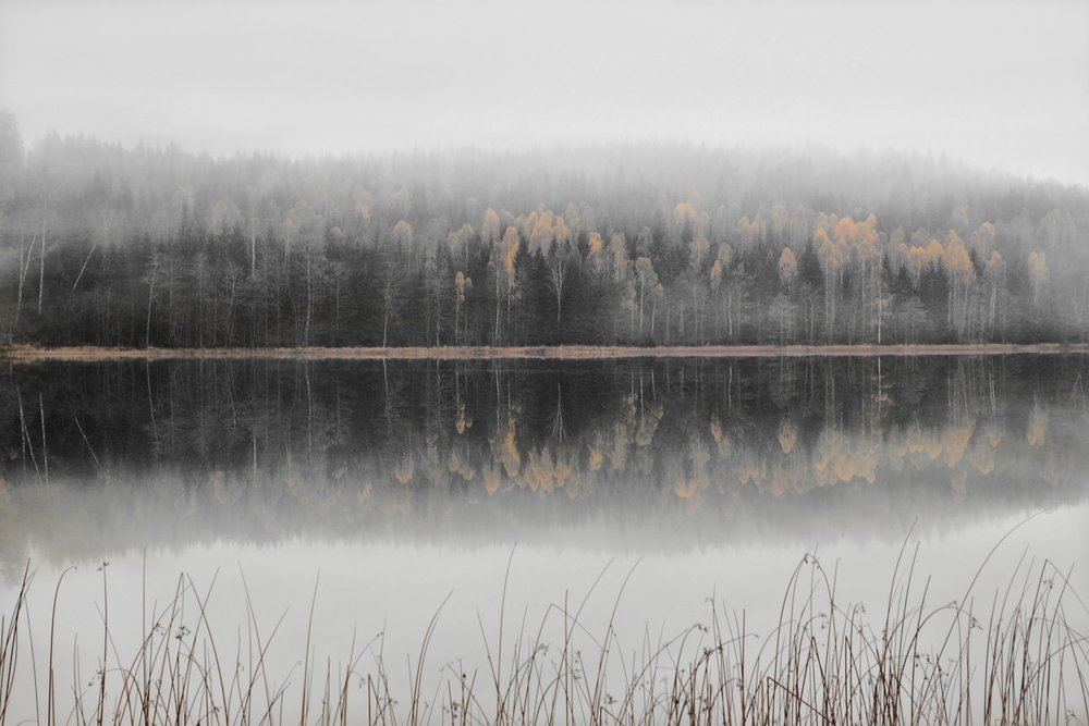 Lac brumeux d
