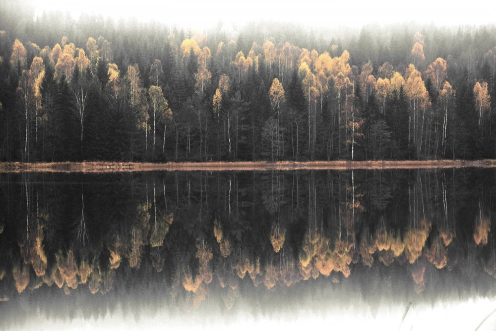 Reflet automnal brumeux - Christina Sillen