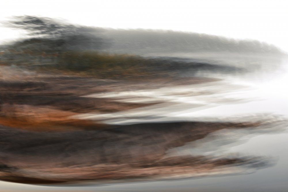 Horizon de la forêt brumeuse - Christina Sillen