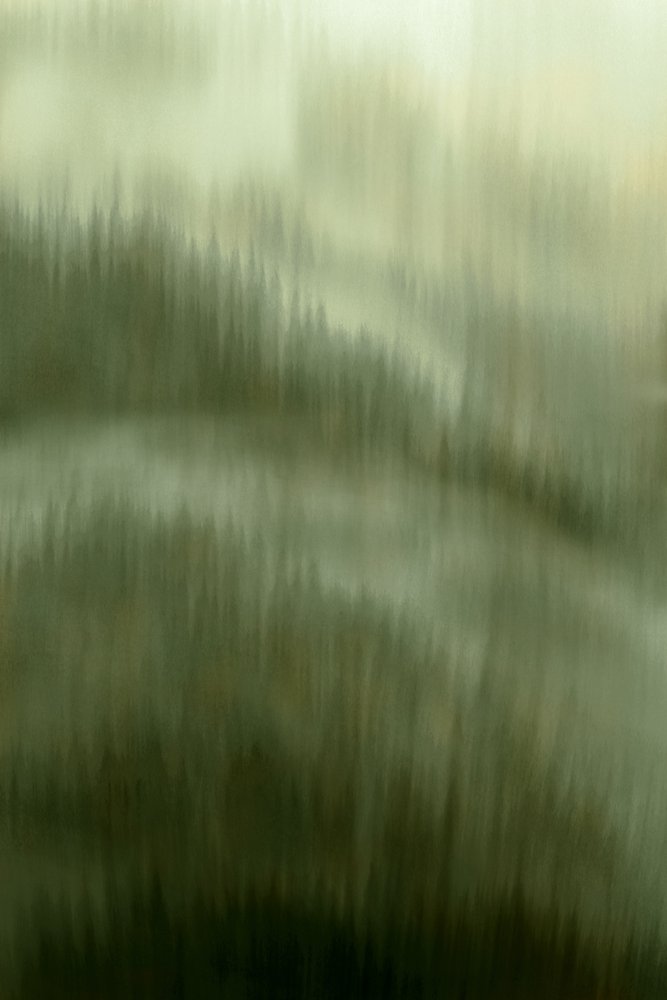 La sérénité de la forêt brumeuse - Christina Sillen