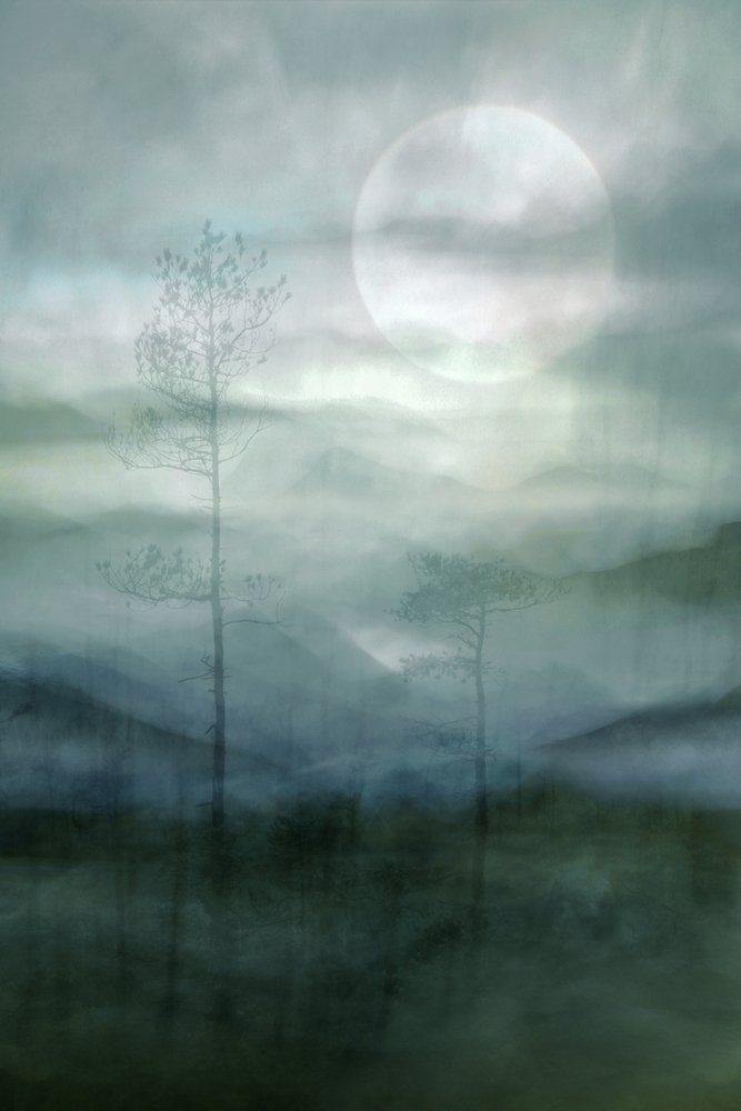 Forêt brumeuse au clair de lune - Christina Sillen