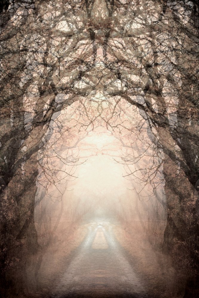 Le chemin brumeux vers la lumière - Christina Sillen