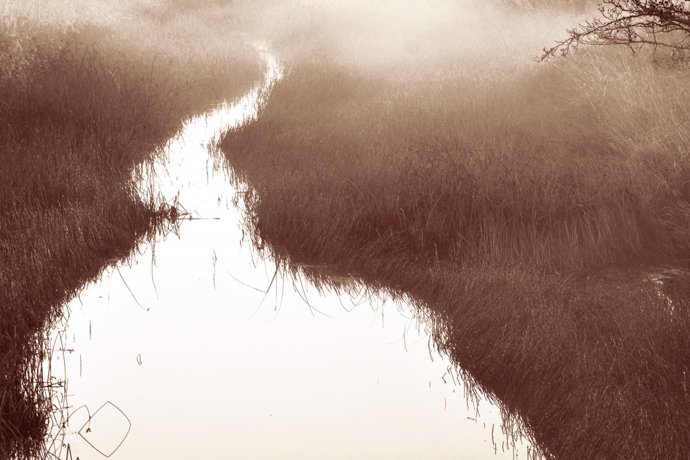 Le sentier de la rivière Misty - Christina Sillen