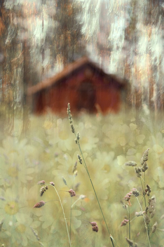 Champ paisible près de la grange - Christina Sillen