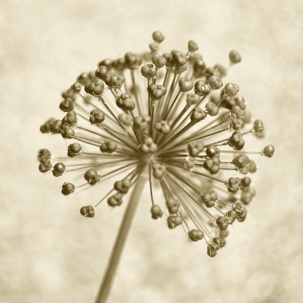 Sphère d