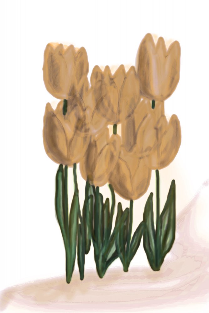Tulipes beige pâle - Christina Sillen