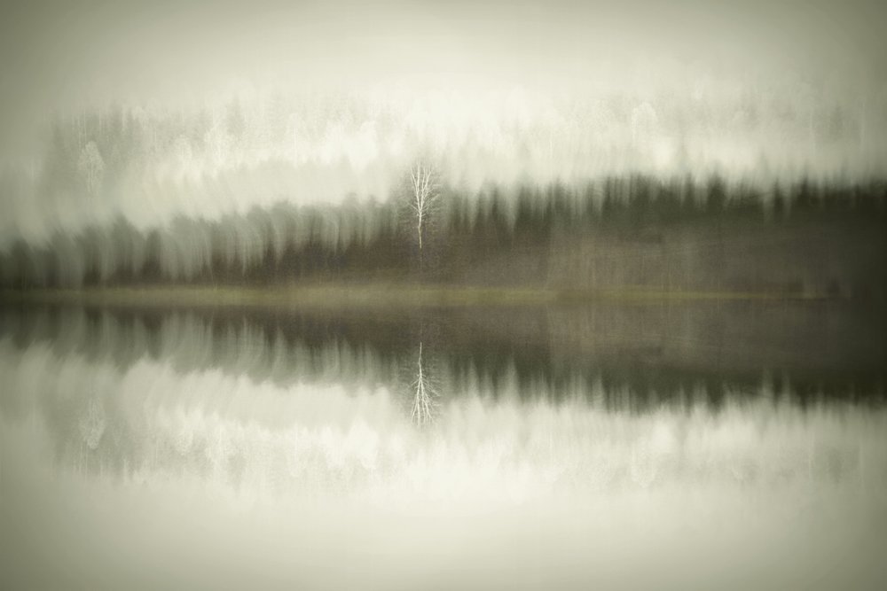  - Christina Sillen