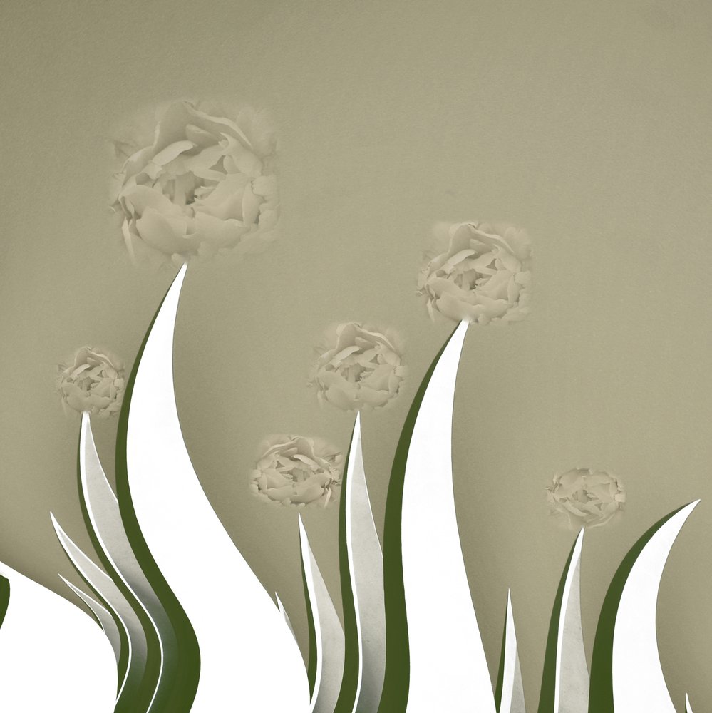 Fleurs crème délicates - Christina Sillen