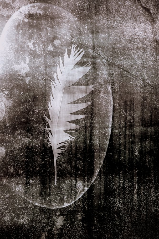 Lune à la plume blanche - Christina Sillen