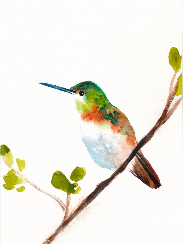 Colibri vert perché - Christine Lindstrom