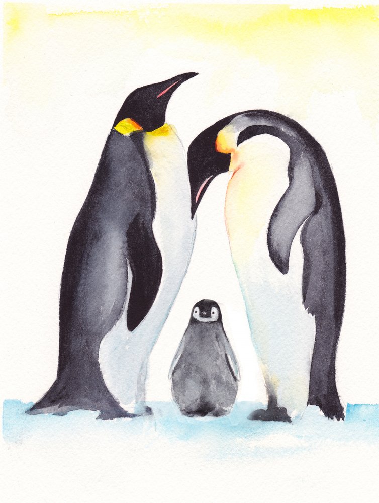Portrait de famille de manchots - Christine Lindstrom