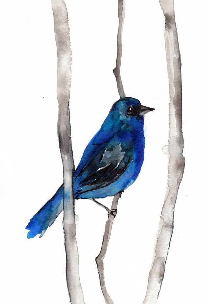 Oiseau chanteur bleu éclatant - Christine Lindstrom