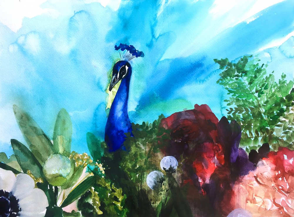 Un jardin aux couleurs chatoyantes, inspiré du paon - Christine Lindstrom