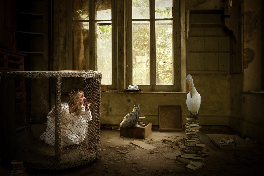 La femme en cage et le pélican - Christine von Diepenbroek