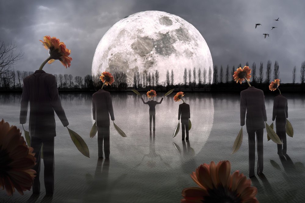 Figurines de têtes de fleurs au clair de lune - Christophe Kiciak