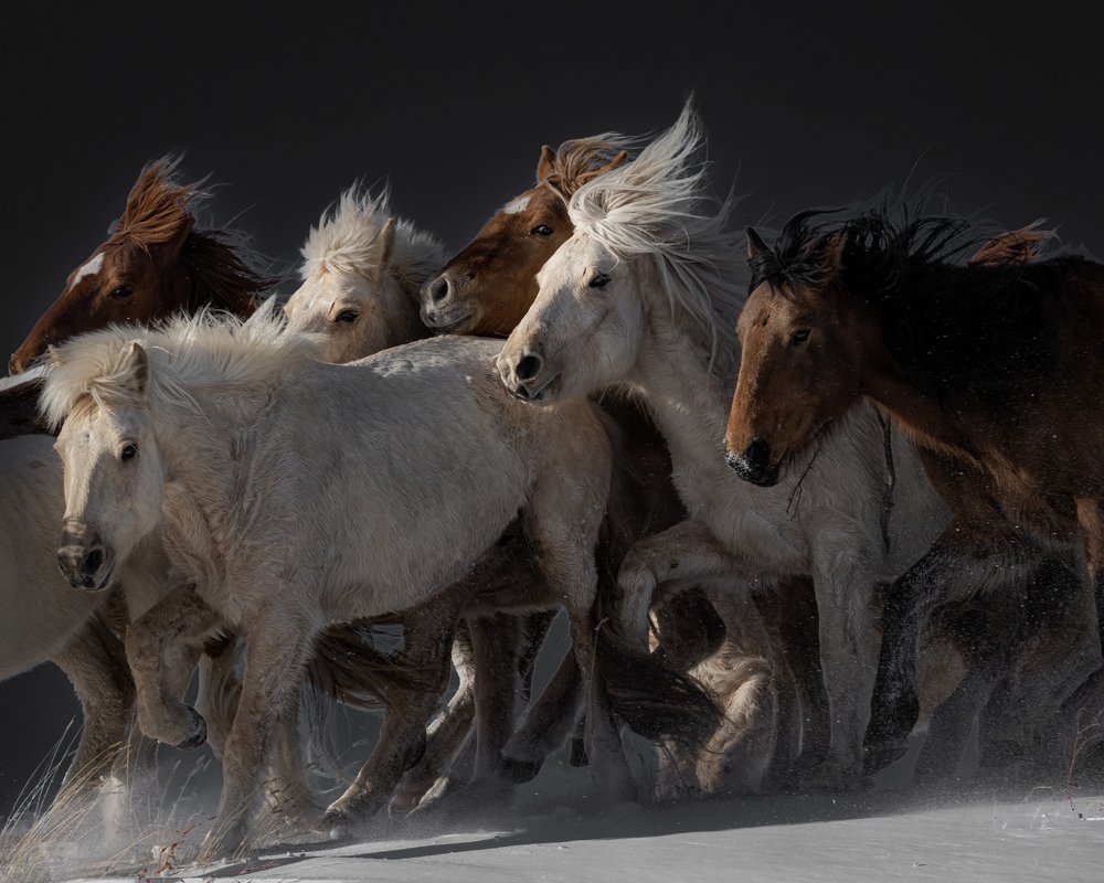  - Chuanxu Ren