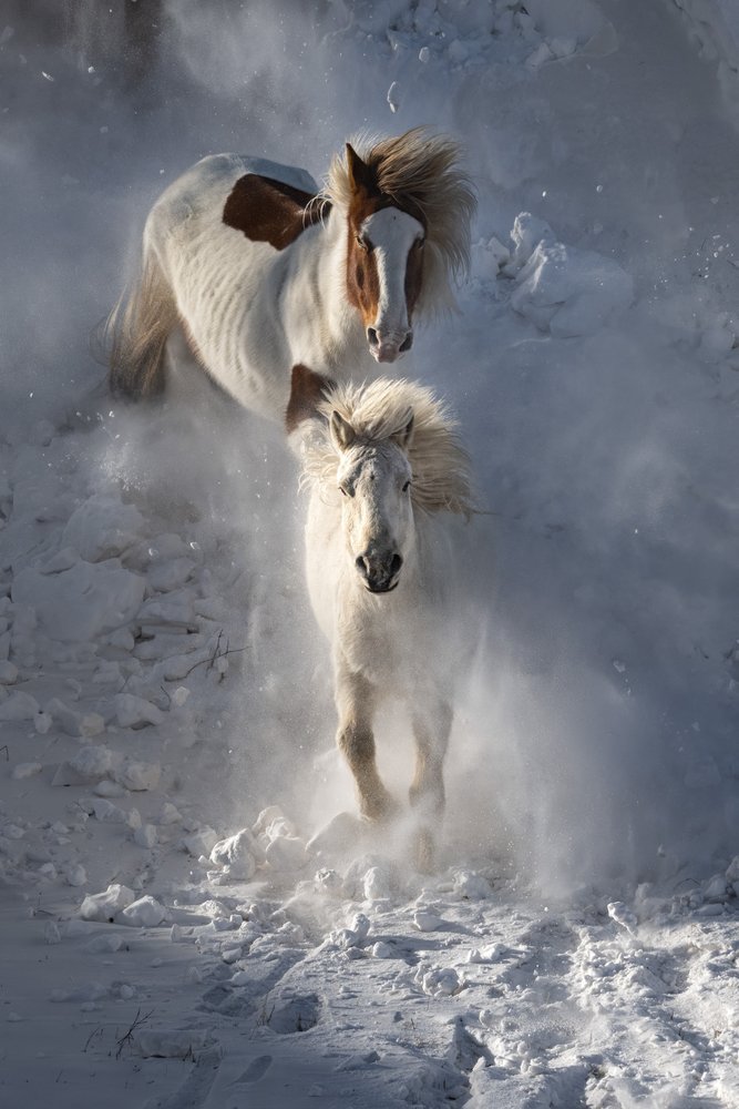  - Chuanxu Ren