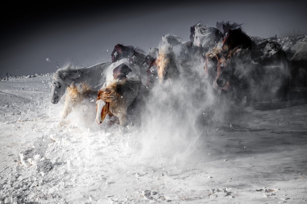  - Chuanxu Ren