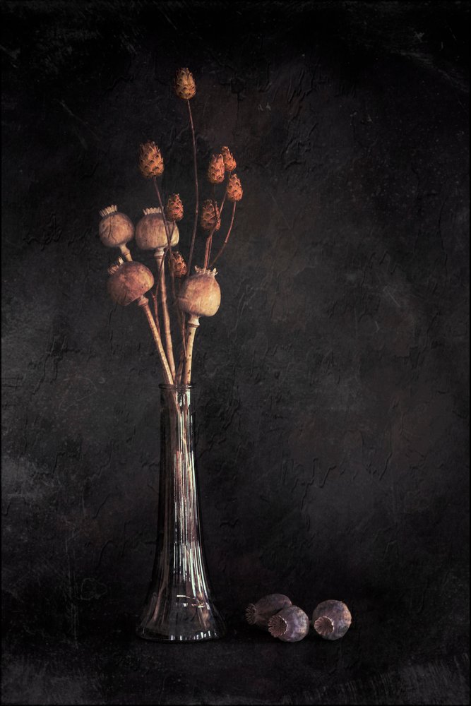 Nature morte botanique sombre - Cicek Kiral