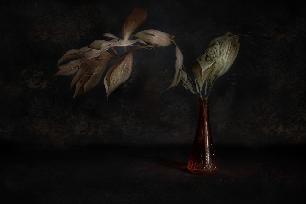 Nature morte botanique sombre - Cicek Kiral
