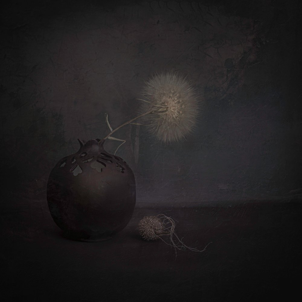 Nature morte au pissenlit sombre - Cicek Kiral