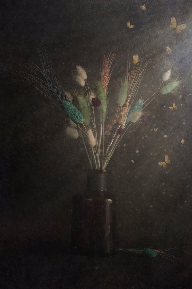 Papillons floraux sombres - Cicek Kiral