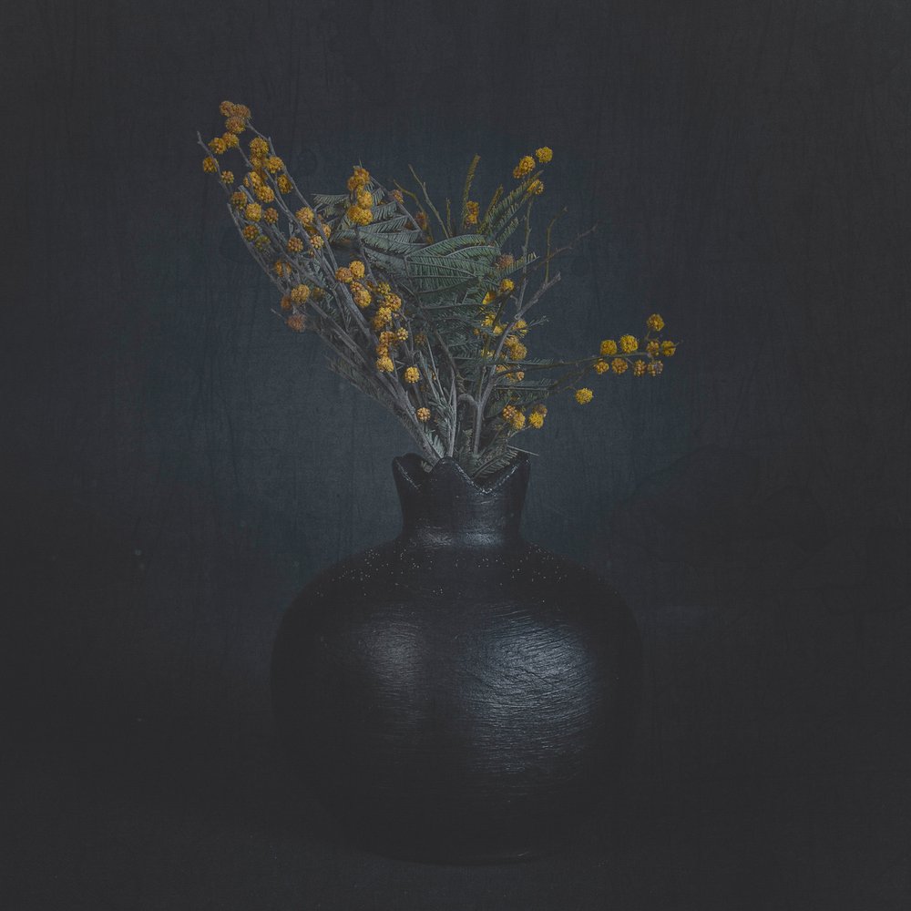 Nature morte florale sombre - Cicek Kiral