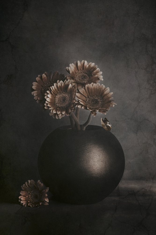 Fleurs sombres et grenouille - Cicek Kiral