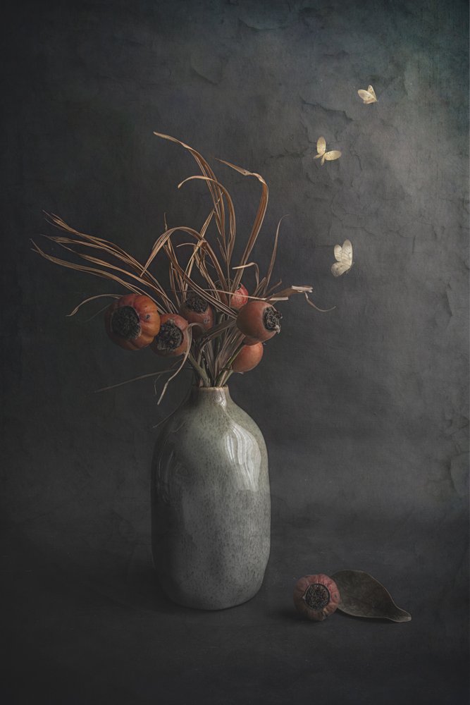 Nature morte sombre aux papillons - Cicek Kiral
