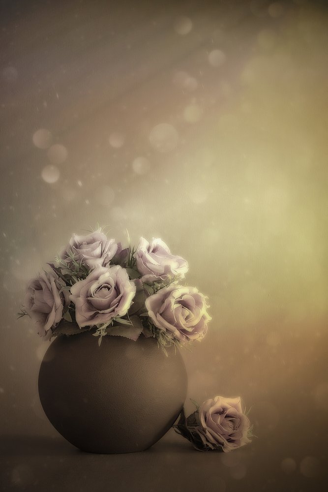Des roses aux tons pastel de rêve - Cicek Kiral
