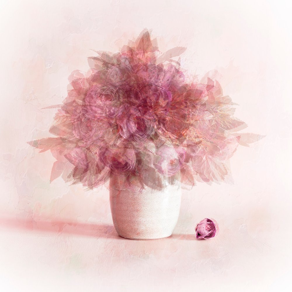 Fleurs roses de rêve - Cicek Kiral